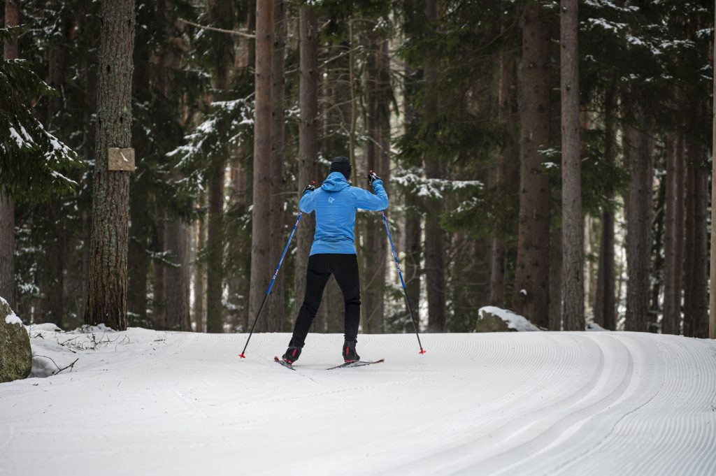 Längdskidåkare i spår i skogen.