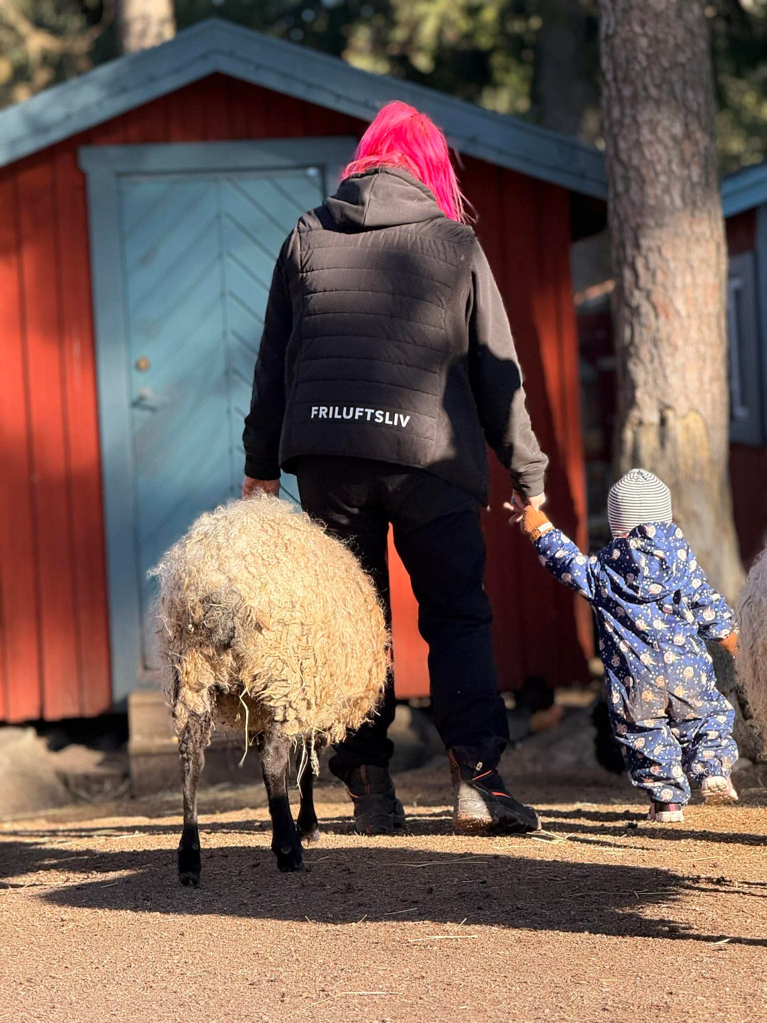 En vuxen och barn som går i en fårhage med ett får.