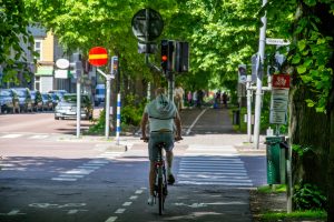 Cyklist på väg mot övergångsställe.