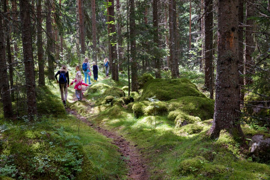 barn och vuxna i natur
