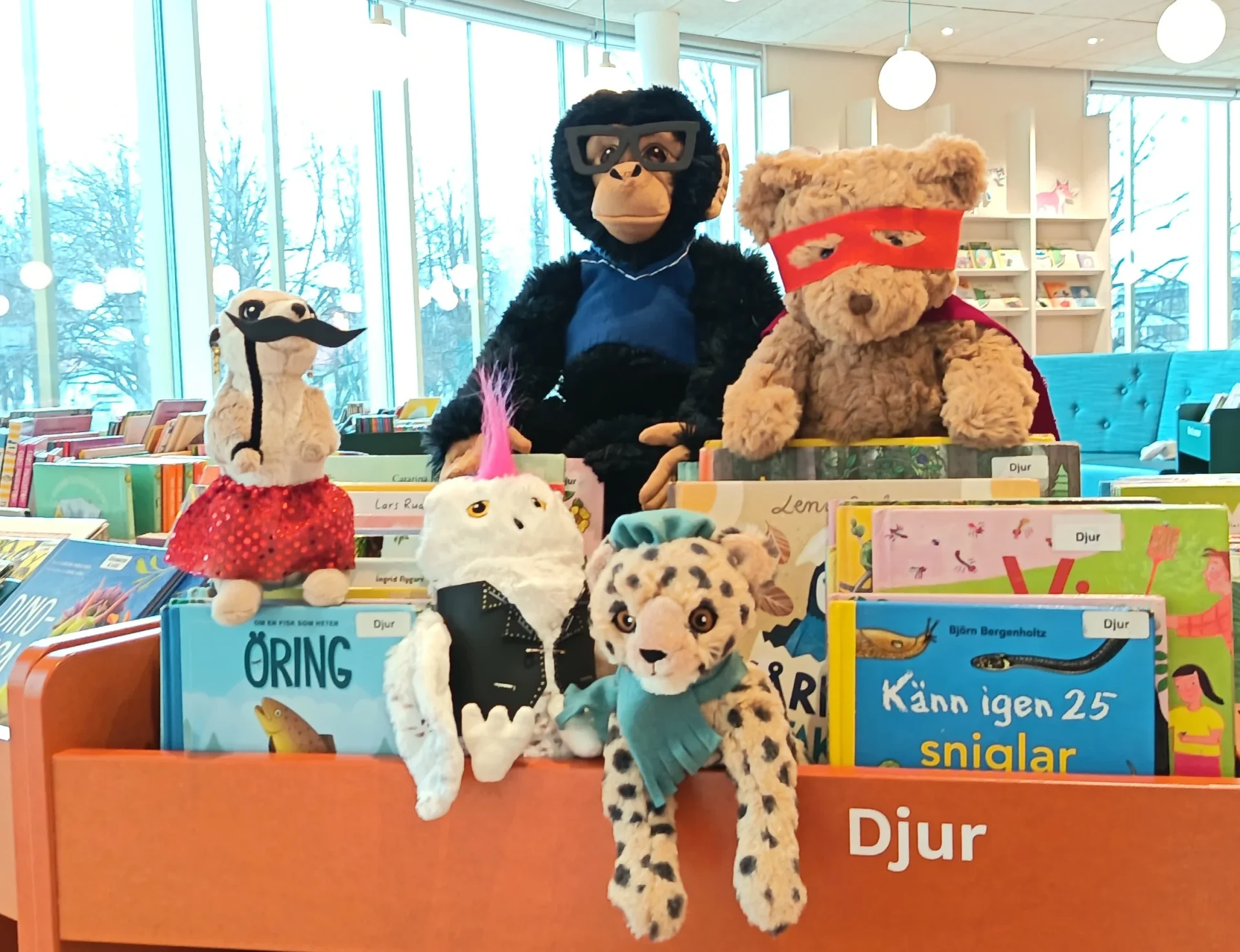 Gosedjursval på biblioteken
