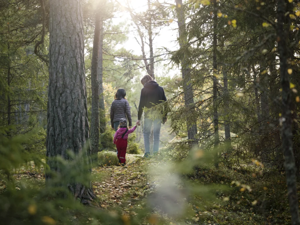Vuxna och barn som går i skogen.