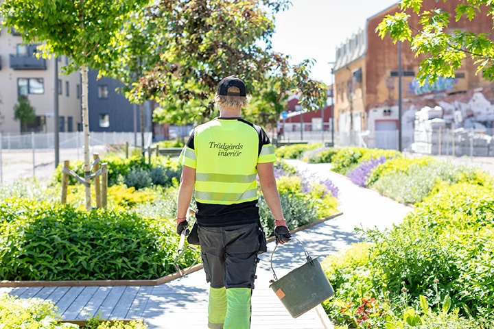 Person med Trädgsinteriör