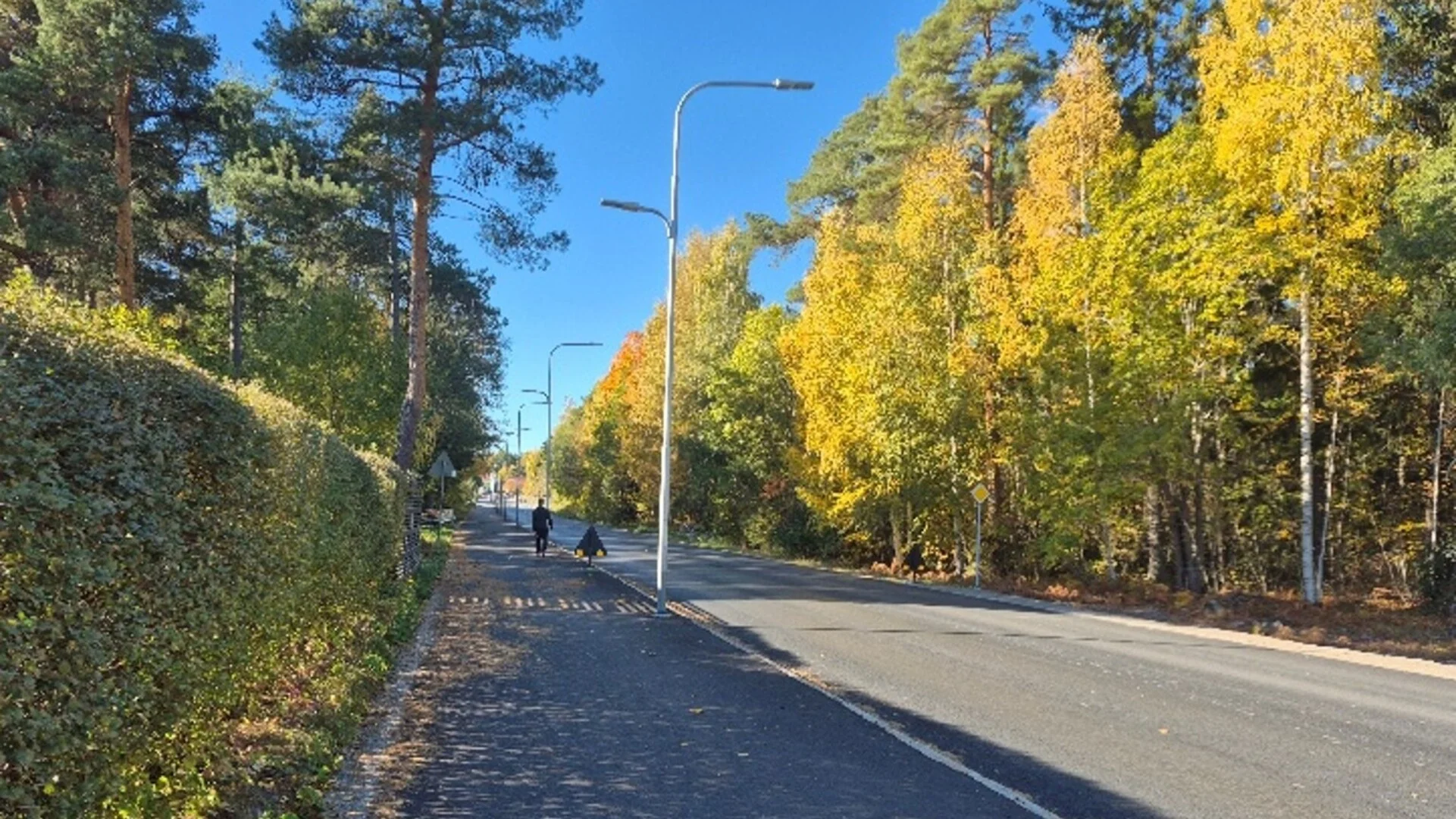 bild på cykelbana med träd på sidorna